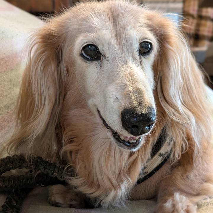 E71387fe 14ea 46f2 ae3f 14fc11b253e4 1765088832942