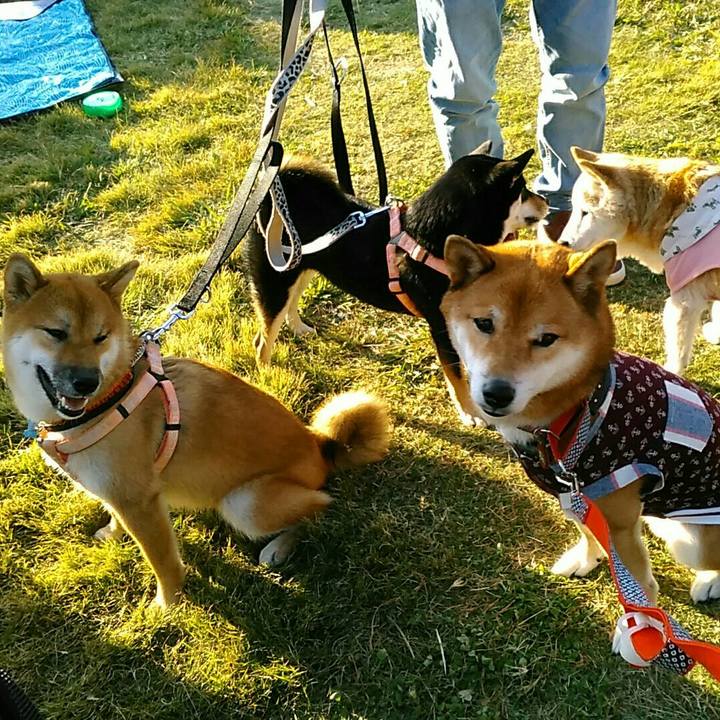 E7139288 3c1c 444c bc57 6266b6b75566 1573912485150