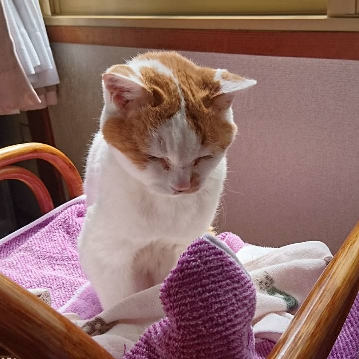 E713a0f3 42cc 4ef6 a660 7f7deac673f6 1525058876532