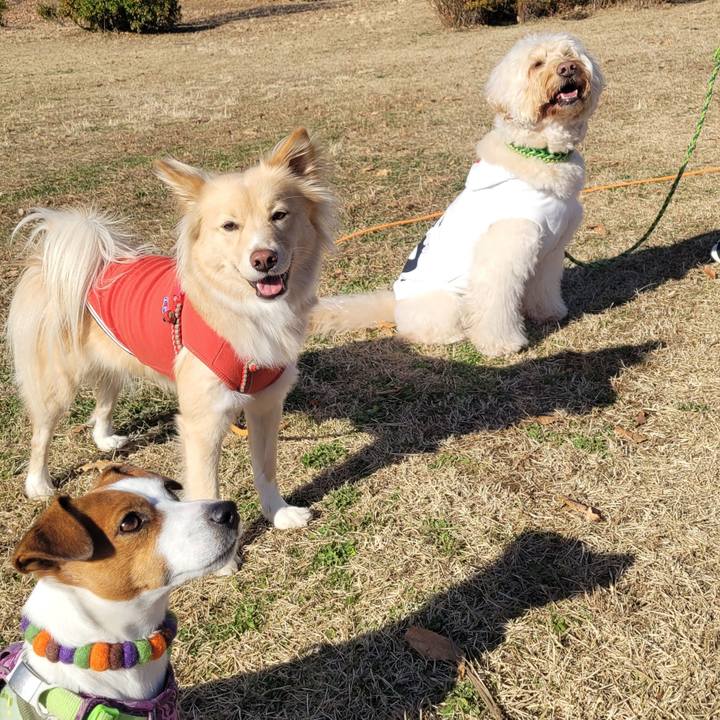 E713c839 82b4 4244 a5ad 98c68677f797 1671177130325