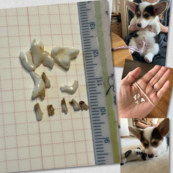 E713f2e1 0e5c 4cda 93d2 faa1f261bfdd 1765507423395