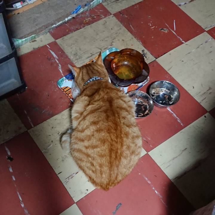 E7141faf 8e1d 4976 99c7 ba22b76491ca 1575403450974