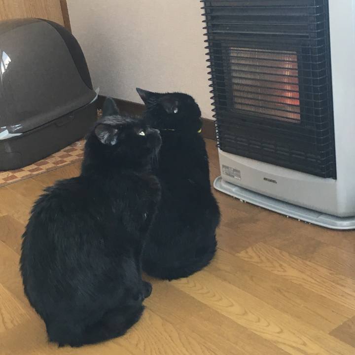 E7146d32 c7e6 4933 9acd c6e8c22fbac9 1532352077671