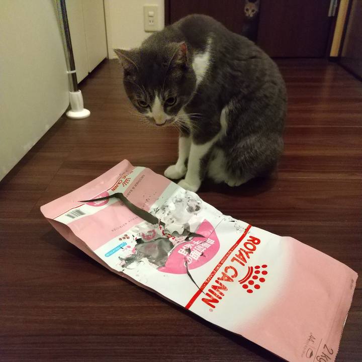 E71495ad 96bc 4d8d 83d5 f9b6777d5834 1607462563736