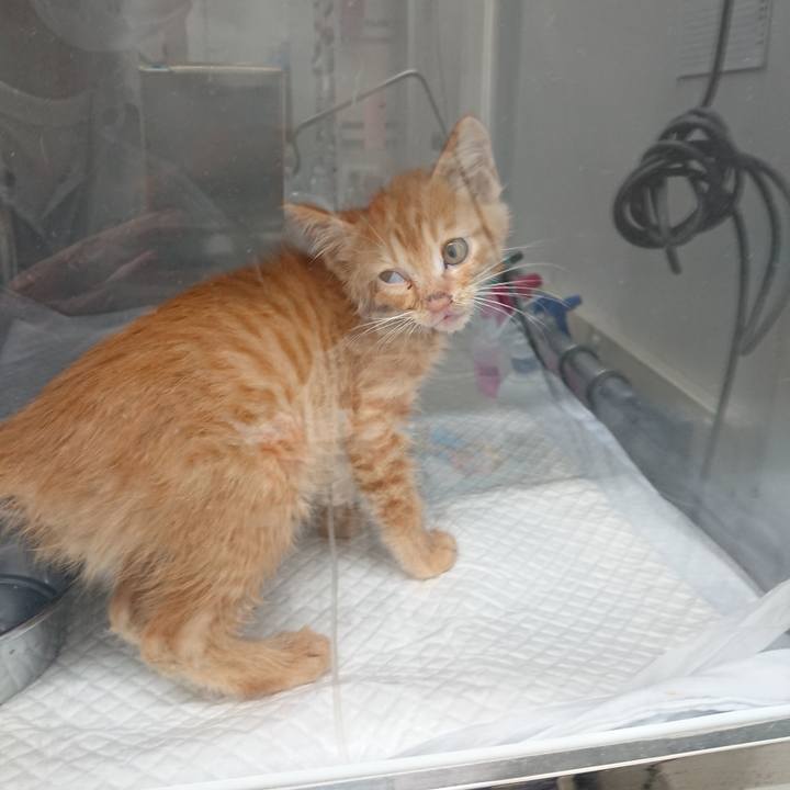 E7149bd5 0784 4c9f 9756 3c2f6d6f6362 1627552103993