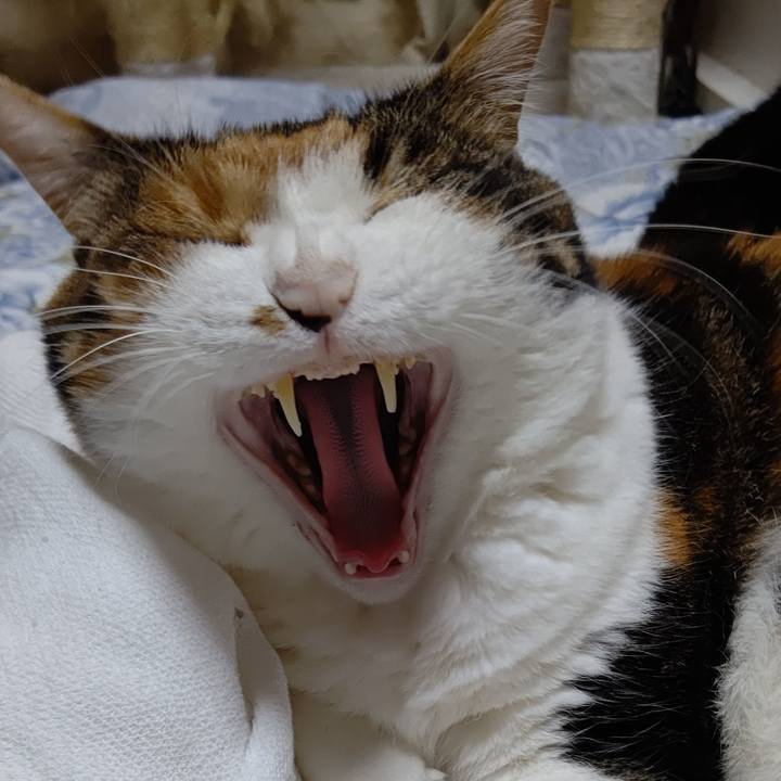 E714feb6 80cf 4f1c 93ed f7e8b02f8f7b 1597290447242