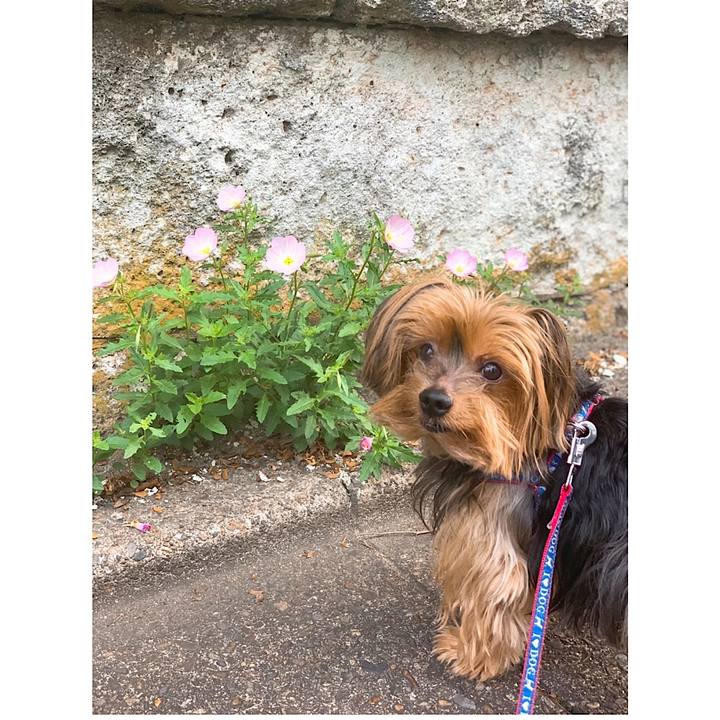 E71516f0 00f9 478d af78 097f6a14d977 1566856776940