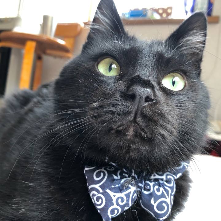 E7152e3b b120 423d ae5b b0d543acb701 1559947331377