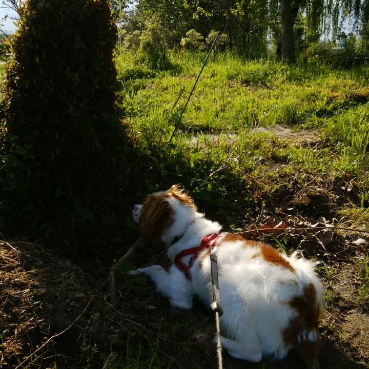 E715366b 0b70 4552 9b3a fe95280cb929 1524271595032