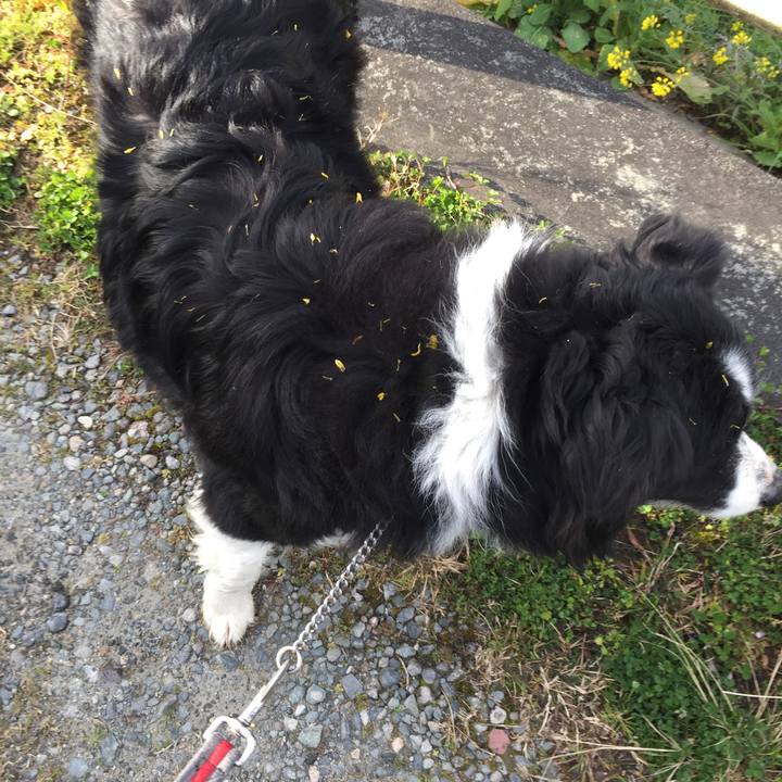 E71554d9 7034 4066 904f e2d3271458ad 1584055320315