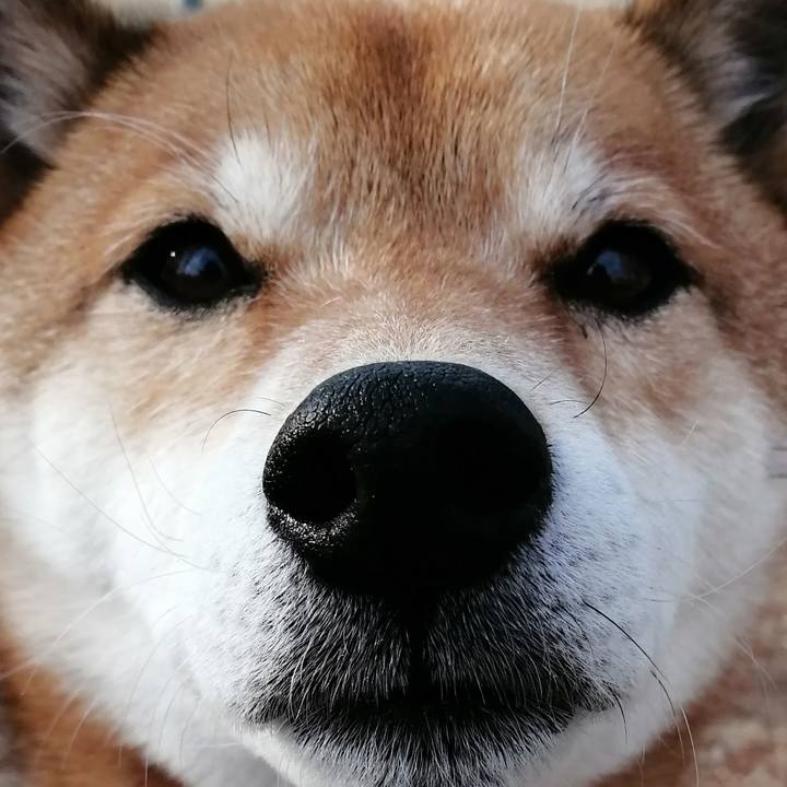 E71566b9 a44a 4d42 b0f1 f769c2df32e0 1609894741682