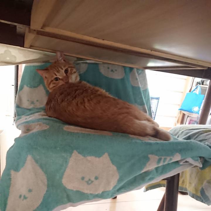 E7157dd0 118f 4eff b9bc fc88c14ba077 1652908391994