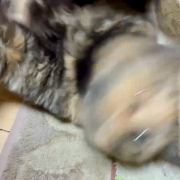 E715da3e 2497 4352 bba6 cfcdbfddb773 1754512704133