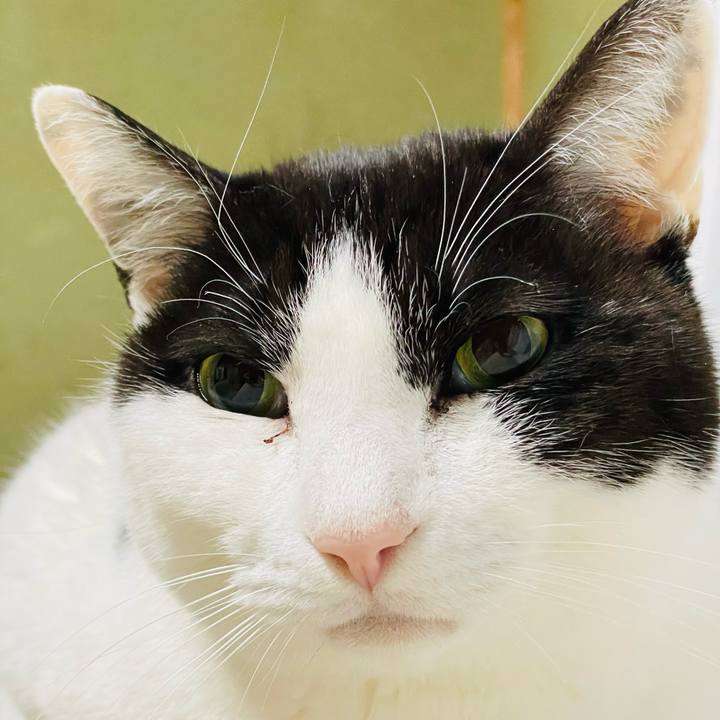 E715fc64 9b57 4735 a93e 76066db40917 1647913789932