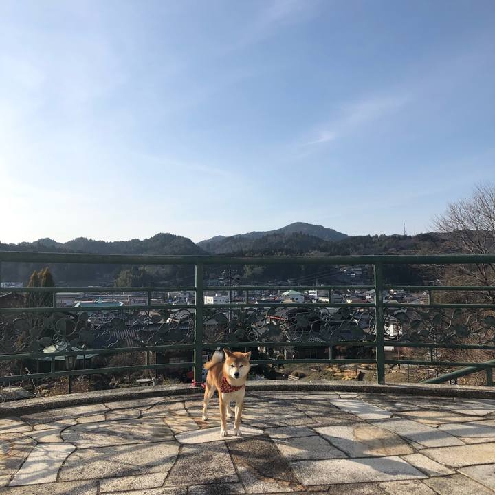 E7166743 7f9f 4915 94dd 4c0e318e392b 1551770407823