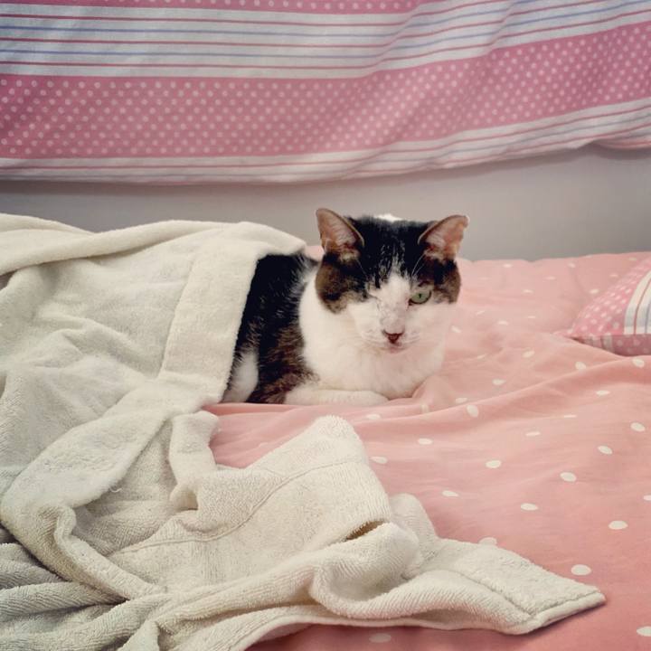 E7168f4d 296e 4e75 b66a 7fb286c1c174 1624409692666