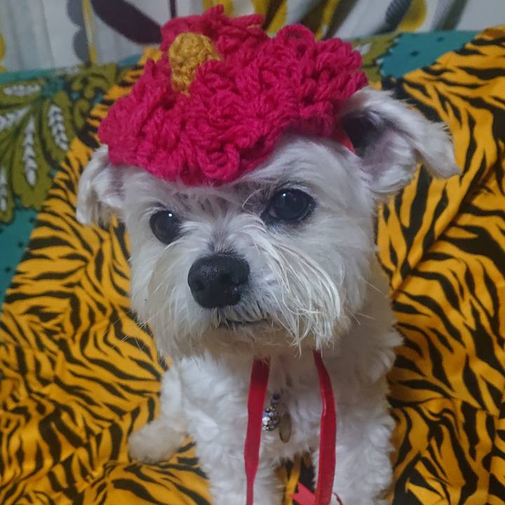 E716bbdd e984 44b1 bc2a 8083ee8101ab 1675417041860