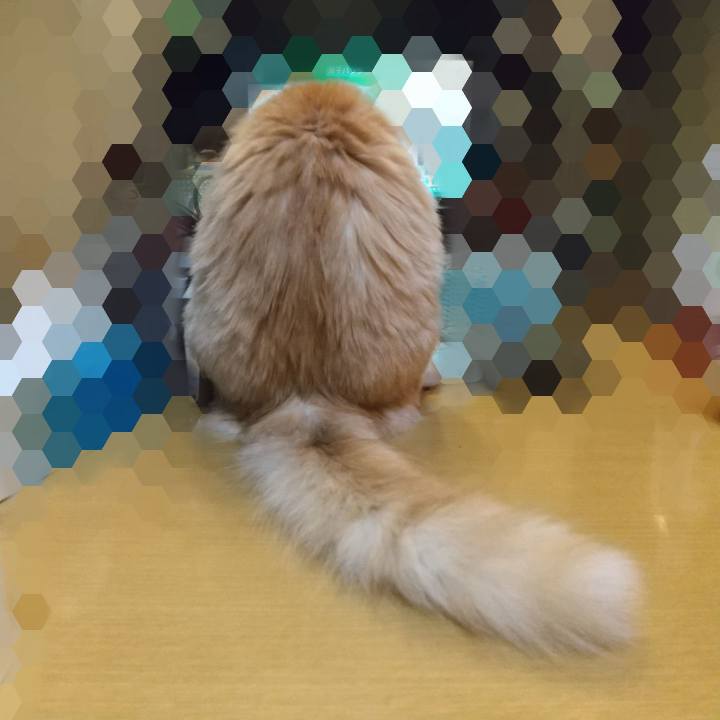 E716becf 0208 4a7d bbe1 08c14bcce942 1632230627423