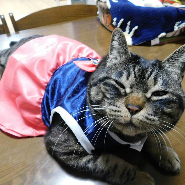 E7172063 58cc 4ce8 9dc8 e2a7c91b09d7 1552990419588