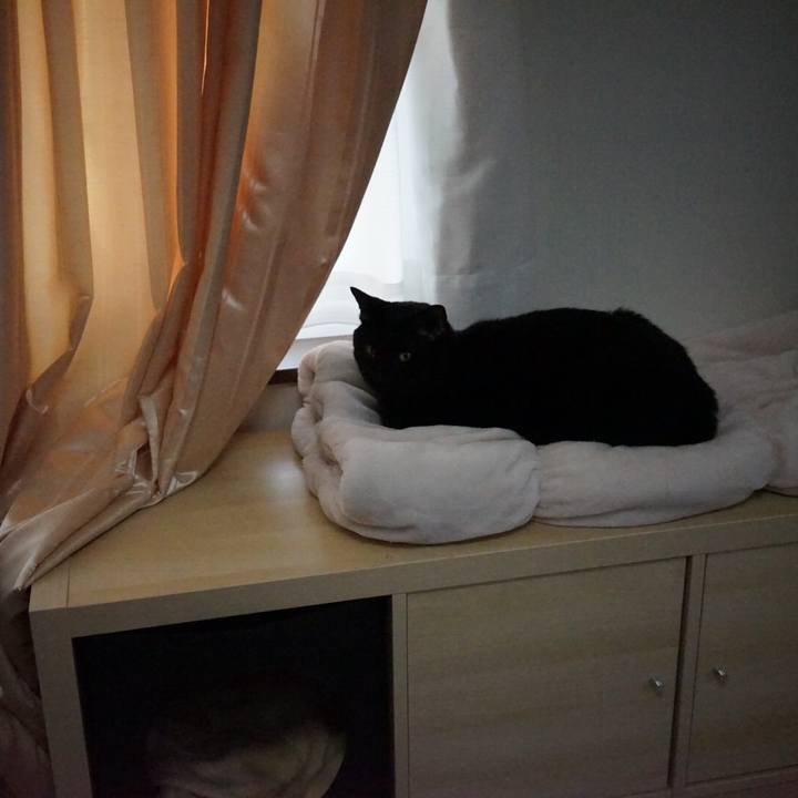 E7172649 3bb4 4dd9 96be b0a5118c120a 1539647973607