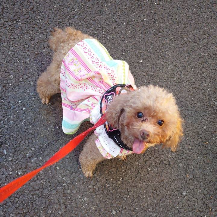 E71726e9 3123 4c31 80d4 24d272f027a6 1747572185985