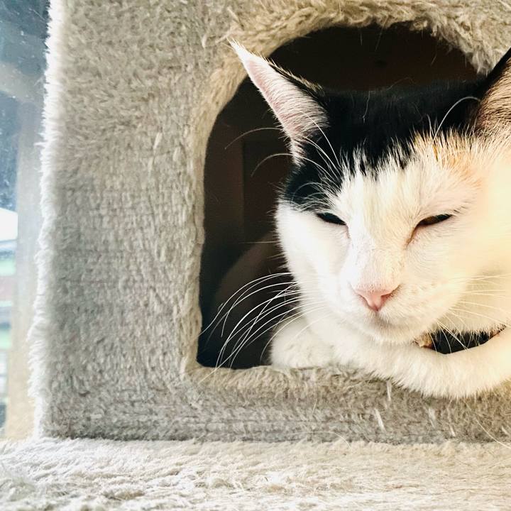 E7173161 67f8 4d54 8f48 220af07bc7b0 1694641812708