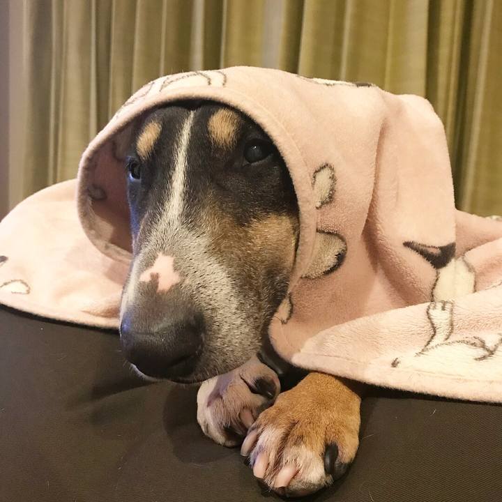 E71733ff 306c 46e5 9a0a 876e5508c0f0 1515407516865