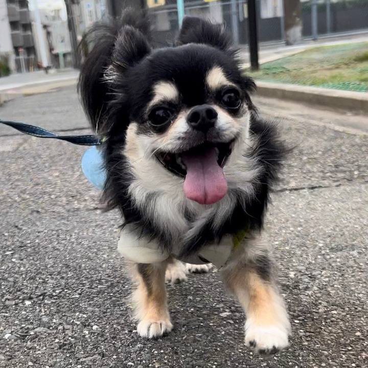 E7173b2d 765f 4296 ad07 6720b22c1d53 1689374018247