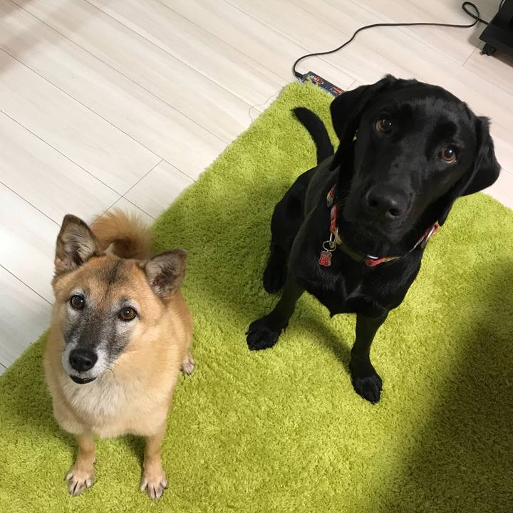 E7174bad 6b69 4539 8c47 ae2a77109a0a 1509333263906