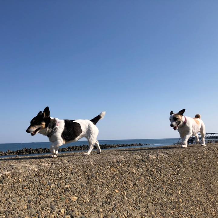 E7174fb4 8e2a 4f03 b3b8 e902fcb6734f 1558745424828