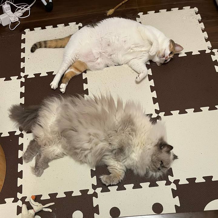 E7176490 335e 4101 acdf 5c8066261d72 1758163918399