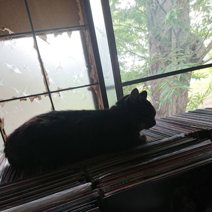 E7176cd5 eadf 44cd 8dfe 45eb37b93caf 1659684297239