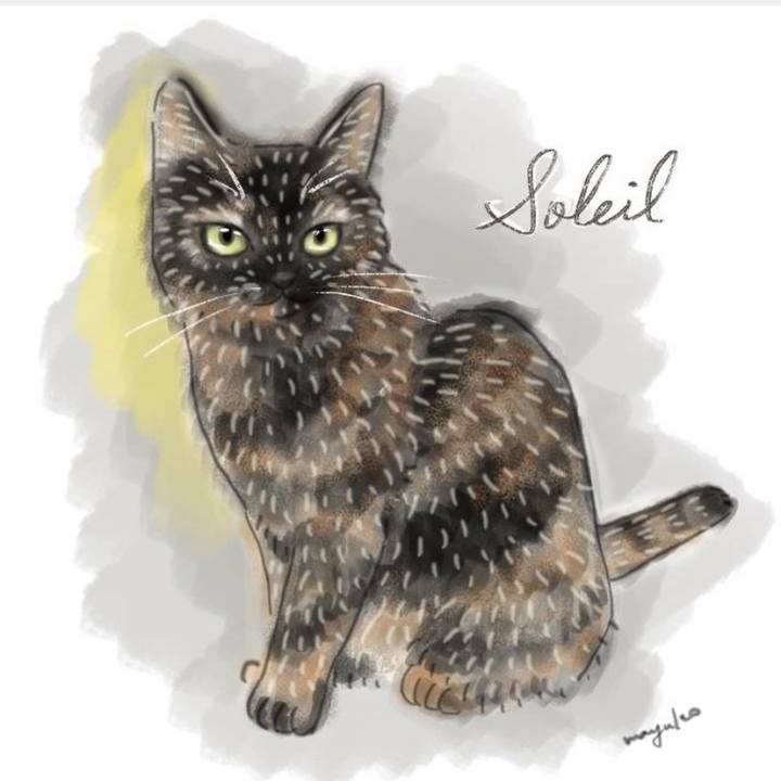 E7177113 a490 4b17 9957 f2b3b814121c 1571721835109