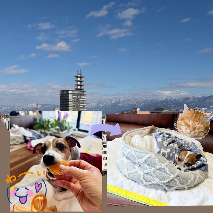 E7178c3f c505 4ed5 a859 081468a57e61 1767500743867