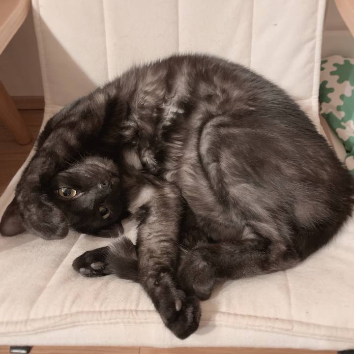 E717ca0e 8d36 4883 a14a d20018d48df0 1556900322181