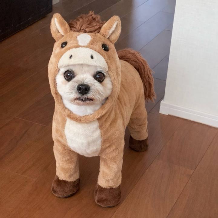 E717cc44 ab8d 43b7 a99d 87c30811f10a 1768518312638