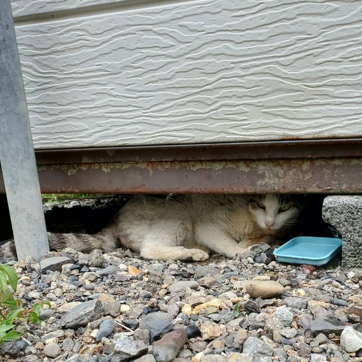 E717dfcc 04d6 4870 ad0e b2da7bbecb1e 1756396360322