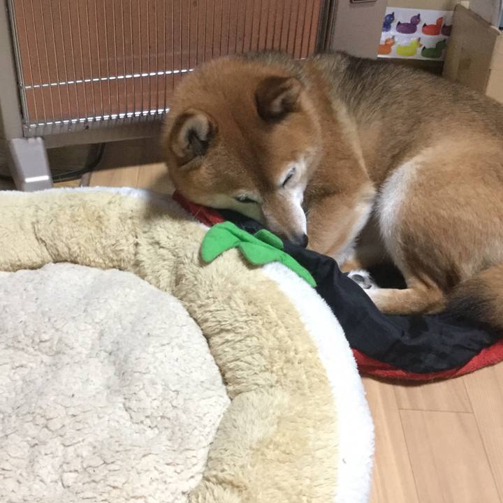 E717ec19 4373 44a4 87a3 0a9990037ead 1587380947238