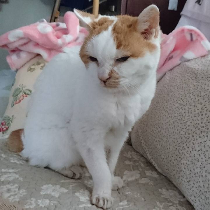 E717fbf6 1c09 4439 9a8b f8faf0db65fb 1566462596791