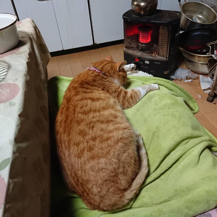 E718237b 1b29 4491 8ecf 222201261449 1608372257774