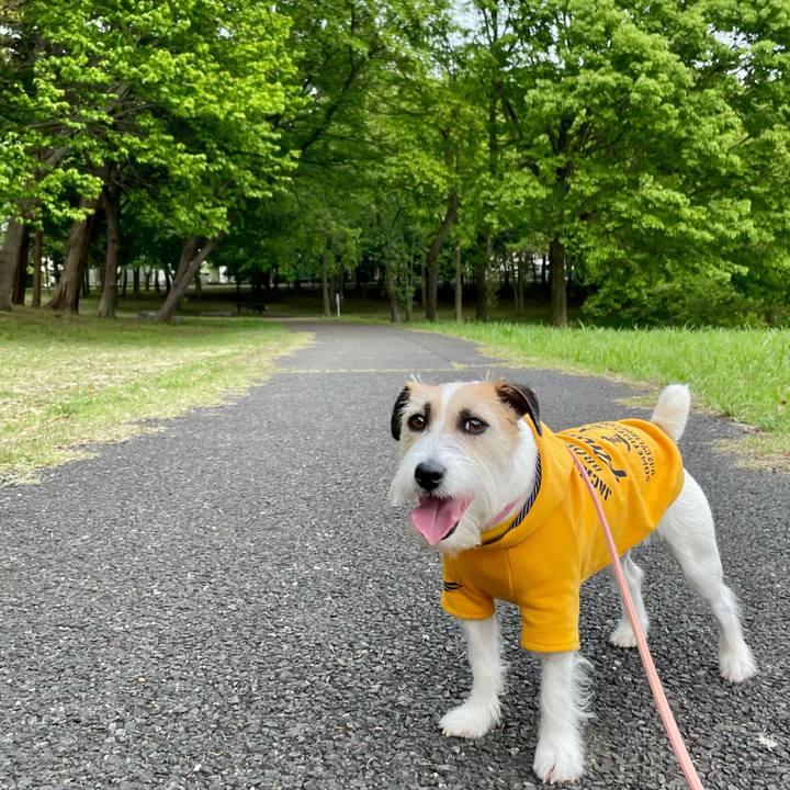 E71827c0 c50b 456f 96b8 5c5ded714ee5 1682142212066