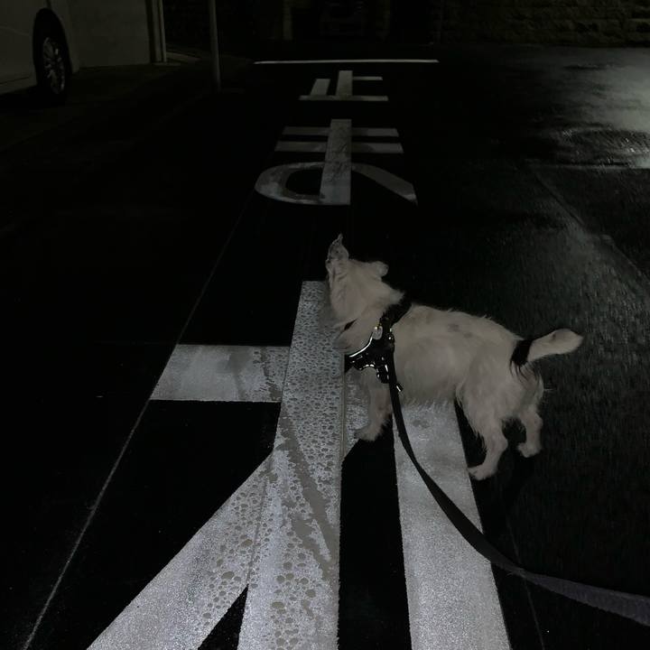 E71827c5 867e 4063 b400 ca3dea2ef1ad 1751635910802