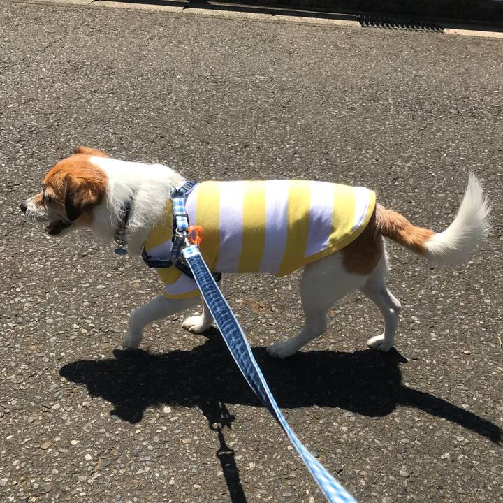 E7183cf0 bf4f 412c a21a fe209c422911 1527851980522