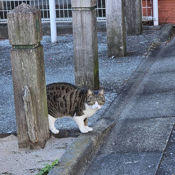 E718597c 0af1 49df 98ea af7d31202a35 1709434315837