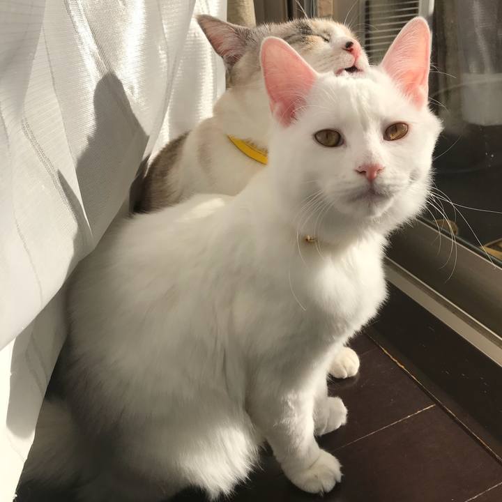 E7185b48 6cd7 4d75 880b ecc160811da3 1517313284414