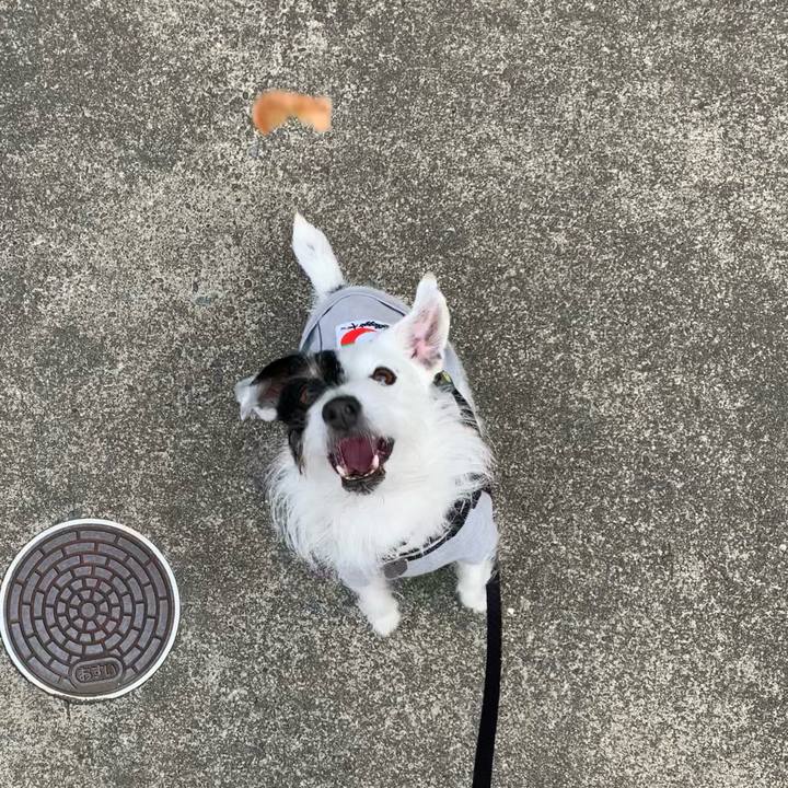 E718720c 084b 4044 b95f ae818714568c 1679357468340