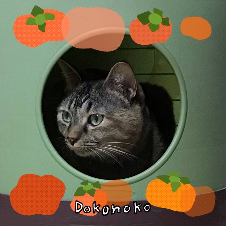 E718b862 cc3c 4d16 bafe 90053781e3ee 1761651319142