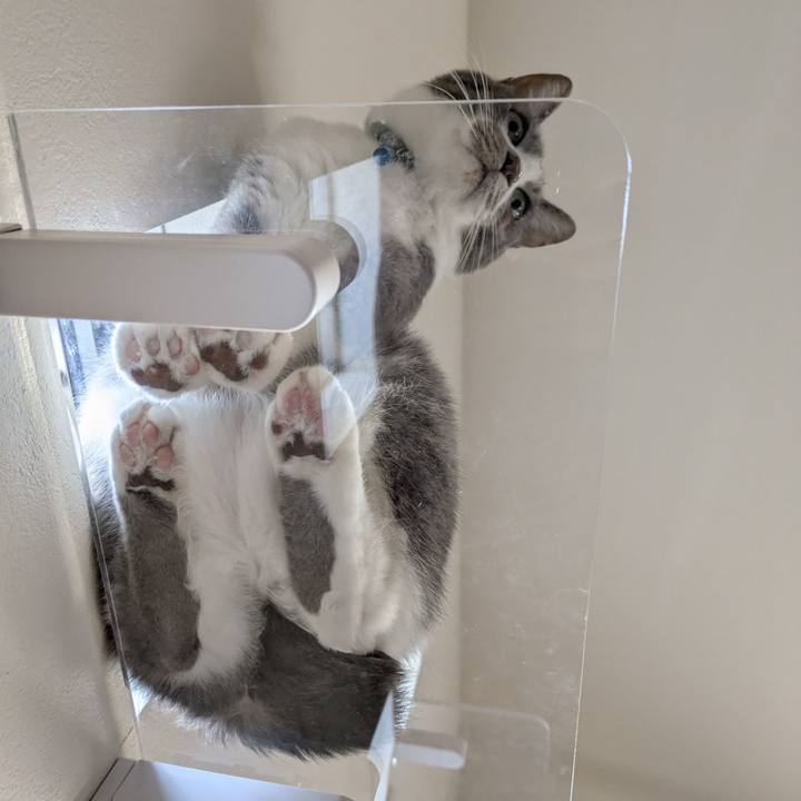 E718e887 2527 4c52 a2fa 6d38f8bab552 1762953612335