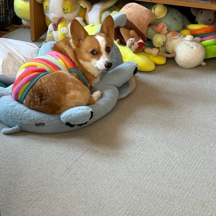 E718fe67 fa77 4b46 a0e1 594189d76ac6 1773268371496