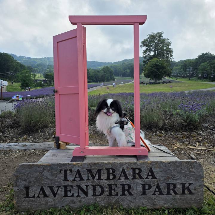 E71909ce e464 437b 9483 ed23cc7cc266 1753772359688